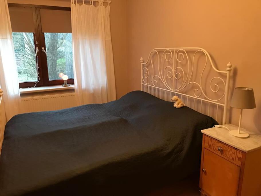 Ferienwohnung Kompass Nahe Der Ostsee Im Gruenen Bad Doberan Ngoại thất bức ảnh
