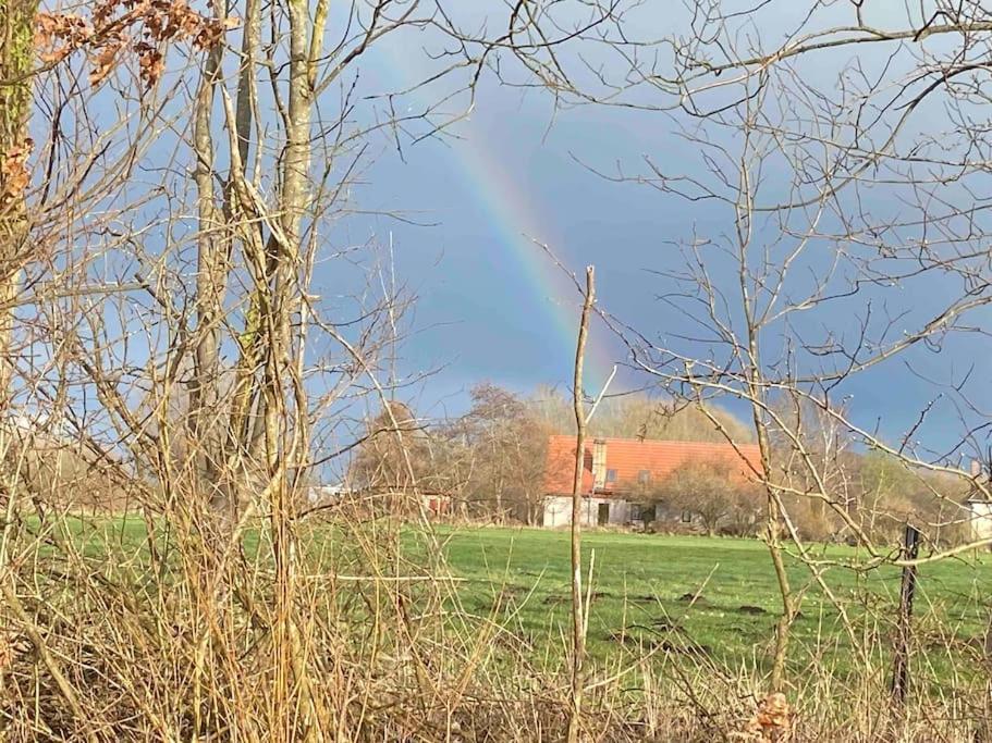 Ferienwohnung Kompass Nahe Der Ostsee Im Gruenen Bad Doberan Ngoại thất bức ảnh
